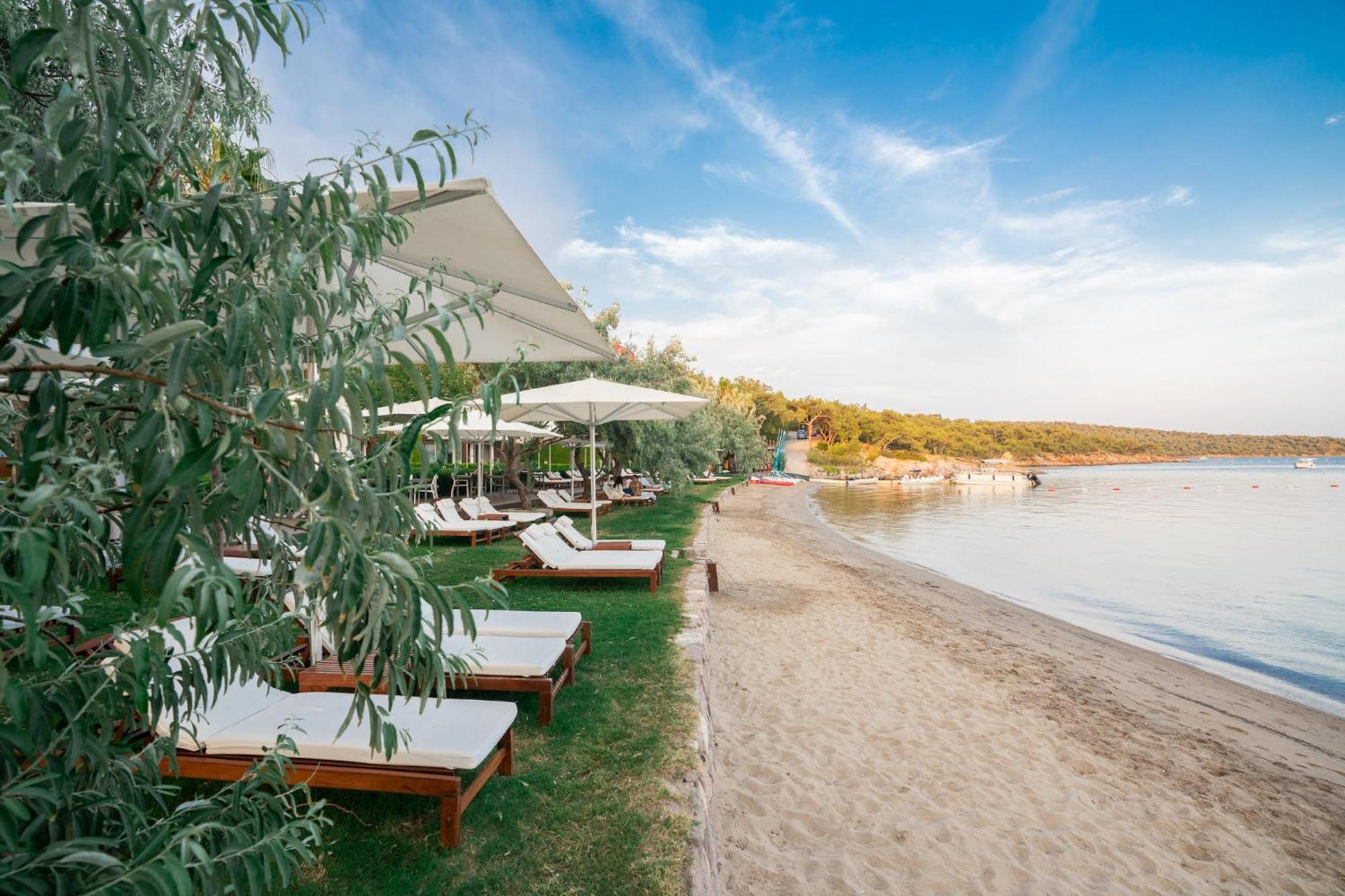 Ortunc Hotel - Cunda Island (Adults Only) Ayvalik Luaran gambar