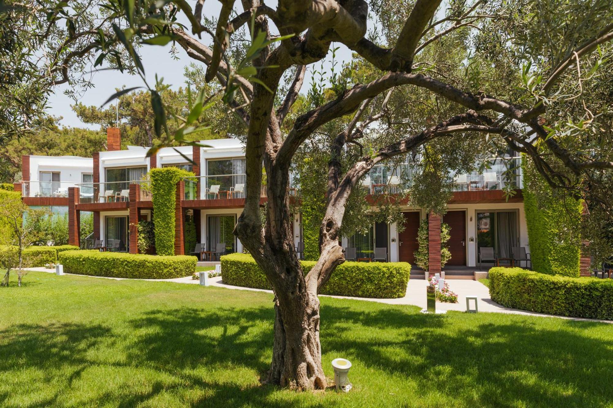 Ortunc Hotel - Cunda Island (Adults Only) Ayvalik Luaran gambar