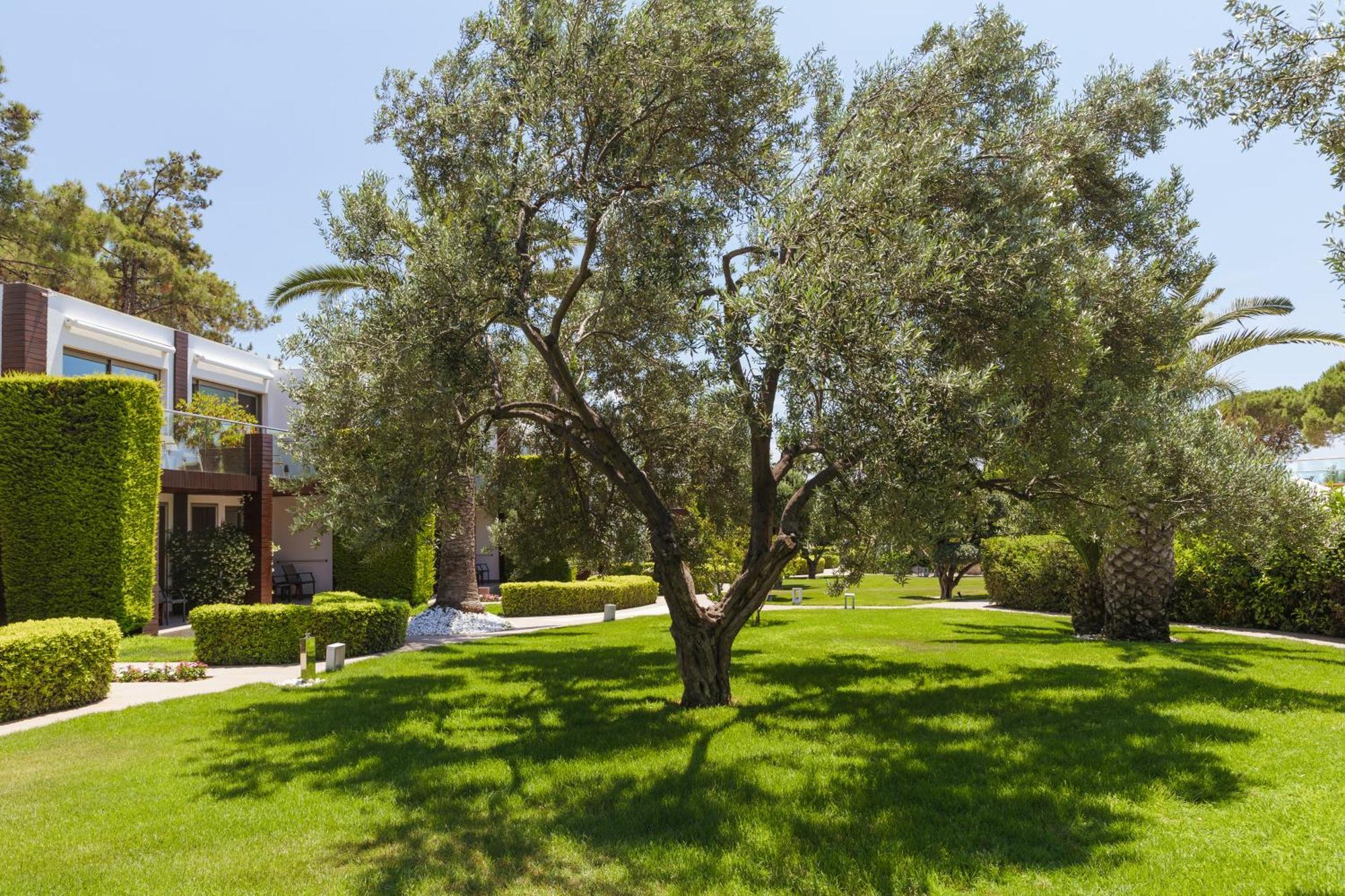 Ortunc Hotel - Cunda Island (Adults Only) Ayvalik Luaran gambar
